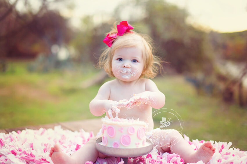 One Year Old Cake Smash Silver Bee Photography
