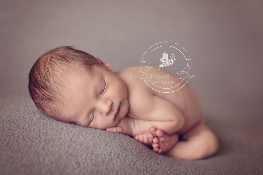 Silver Bee Newborn Photography