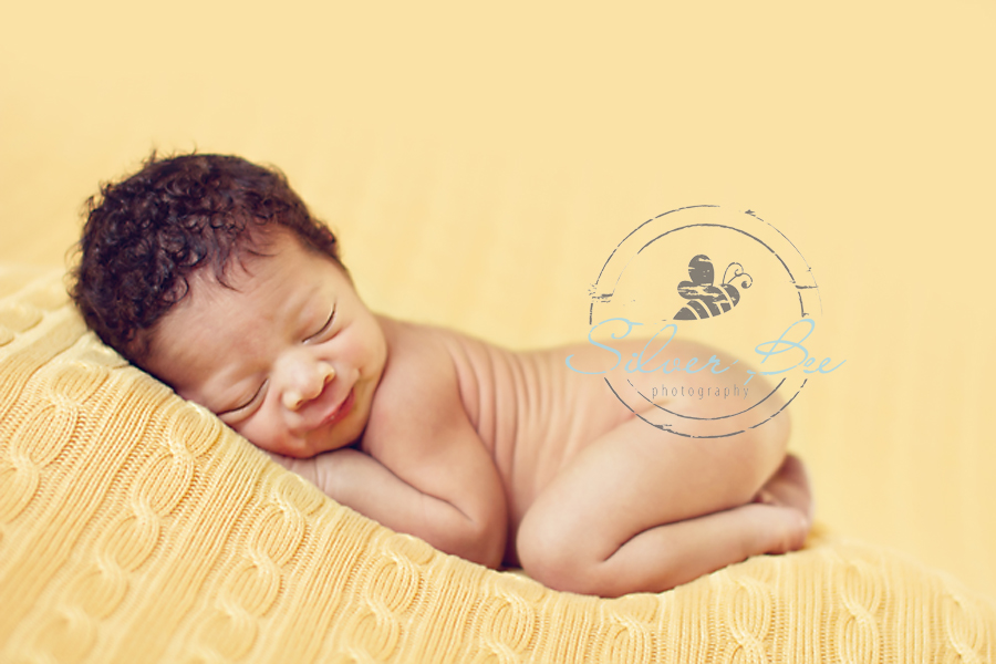 Austin Newborn Photo Session: Silver Bee Photography 