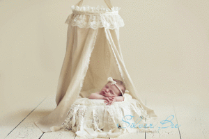 austin newborn photographer, austin baby photographer