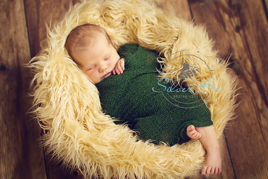 Newborn Photo Props: Mongolian Fur Nest Set