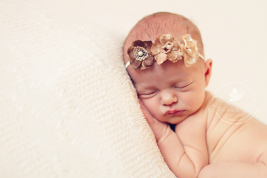 Preemie newborn baby girl photography session posing on cream lace back drop with brown triple flower headband in Austin Texas.