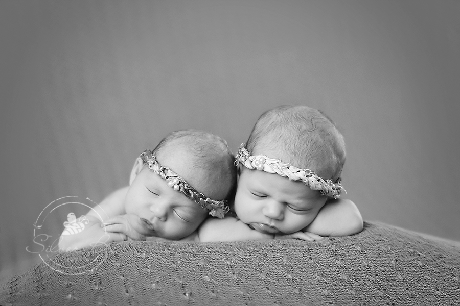 Austin twin newborn posing session with braided headbands and brown lace fabric.