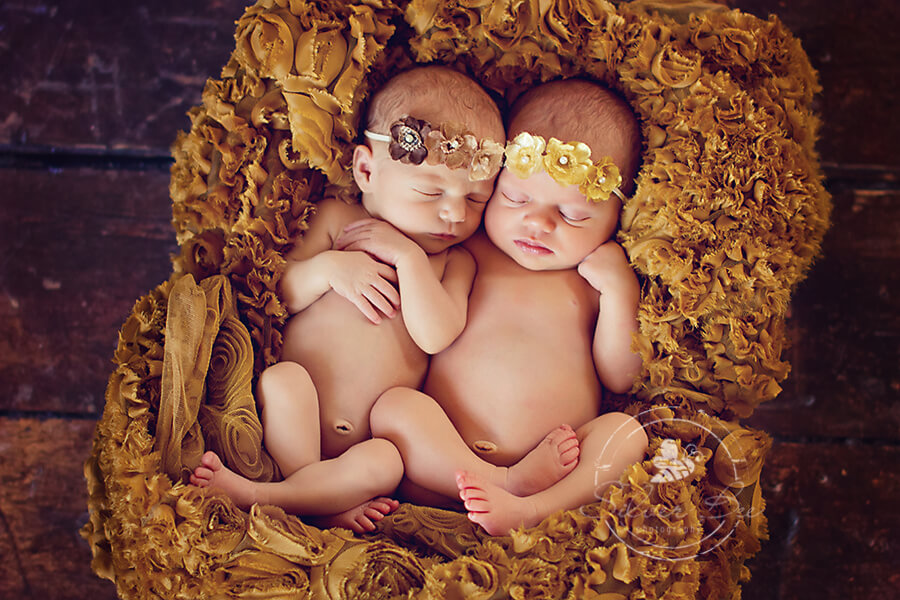 newborn twin photography austin texas