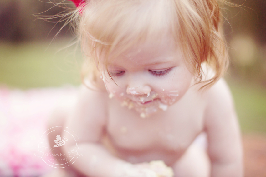 Best baby photographer austin texas for one year old cake smash