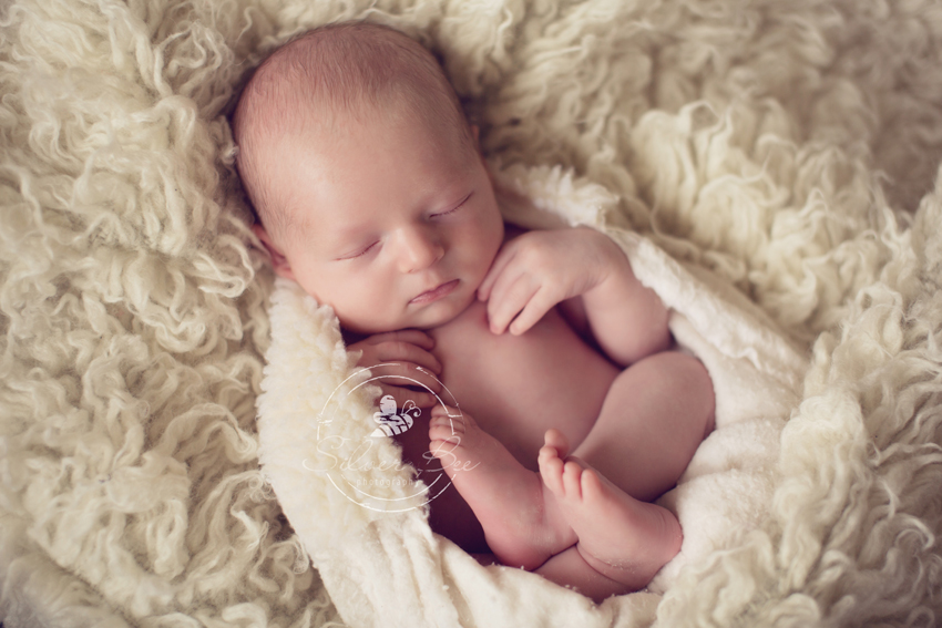 Newborn Session Photos: Soft Textures