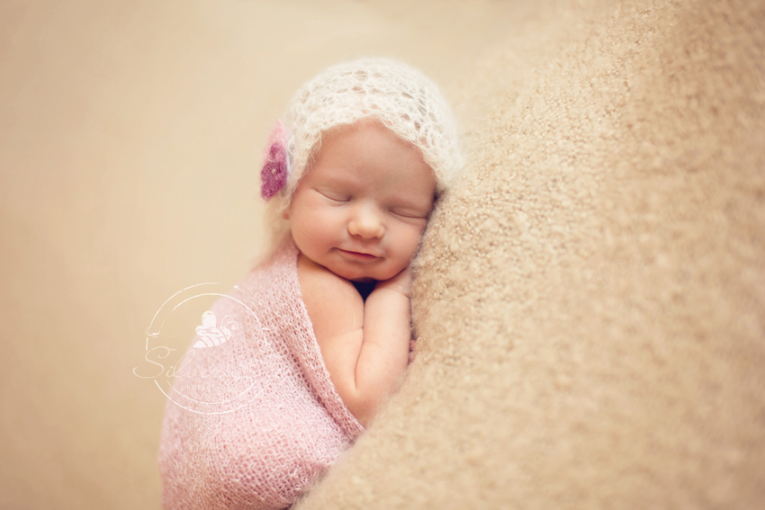 Newborn Photo Session: Silver Bee Photography 