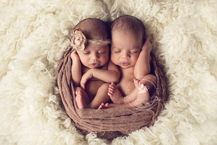 Newborn Twin Photo Session: Silver Bee Photography 