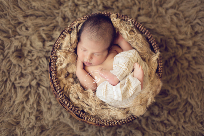 Best Austin Newborn Photographer