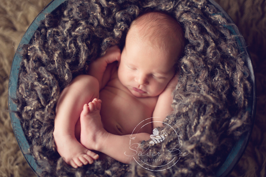 austin tx newborn photos