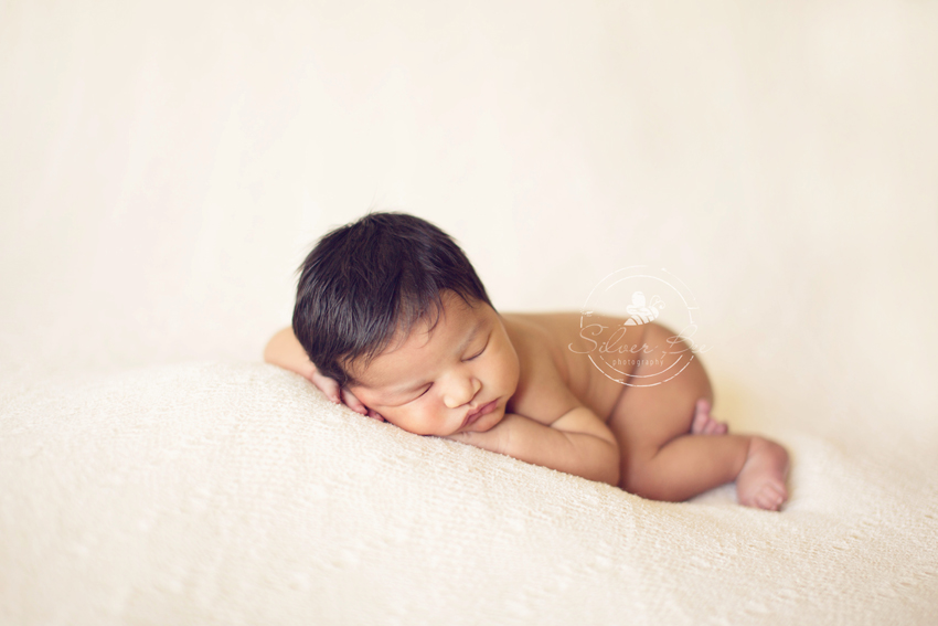 Portrait Session with one week old newborn girl