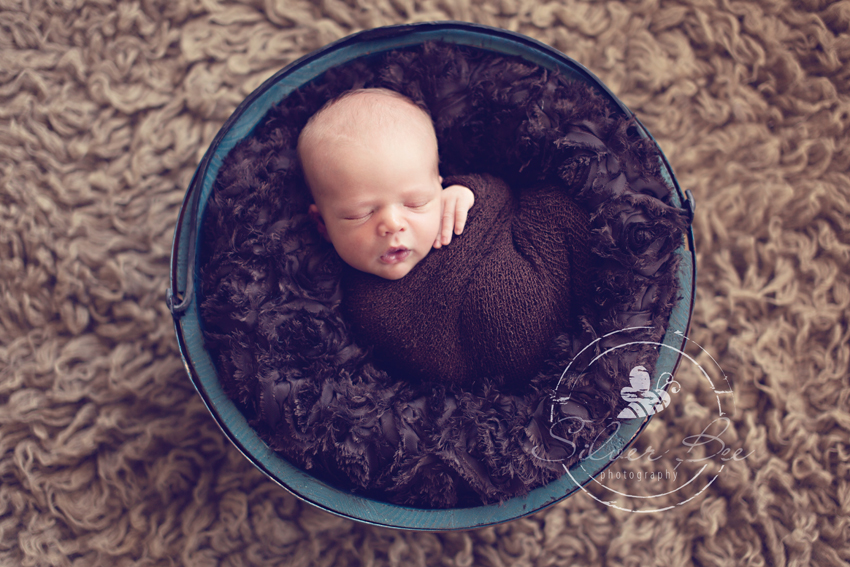 5 Day old newborn baby in bucket for photo session austin