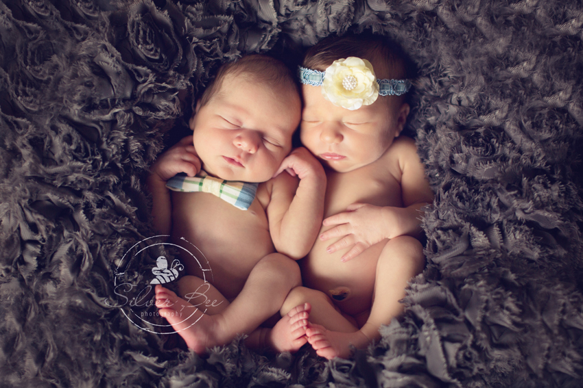 Newborn Twin Photo Session: Silver Bee Photography 