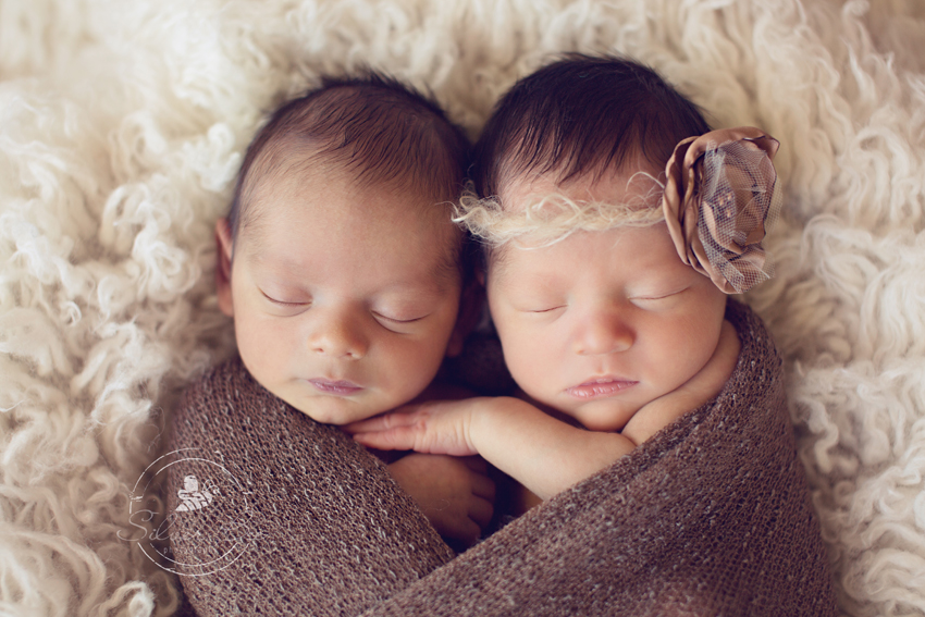 Newborn Twin Photo Session: Silver Bee Photography 