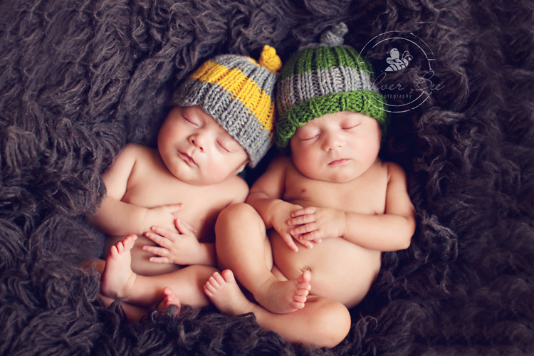 Newborn Twins Silver Bee Photography