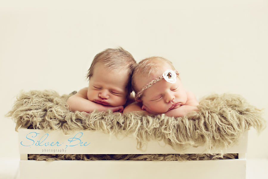 Newborn Twins Photography Session