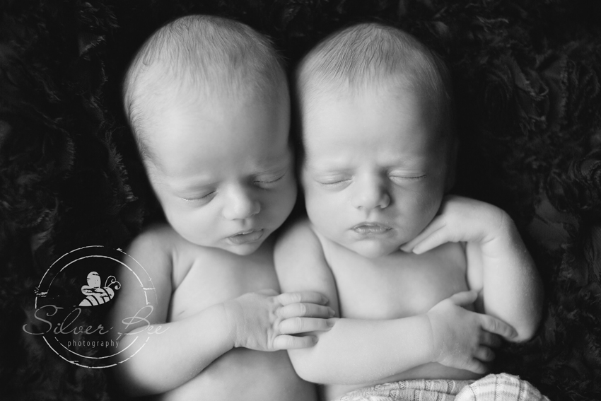 Twin Newborn Photographer