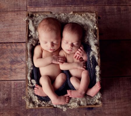 Twins<br> Multiples