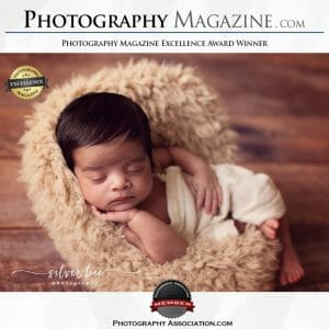 photography magazine silver bee photography