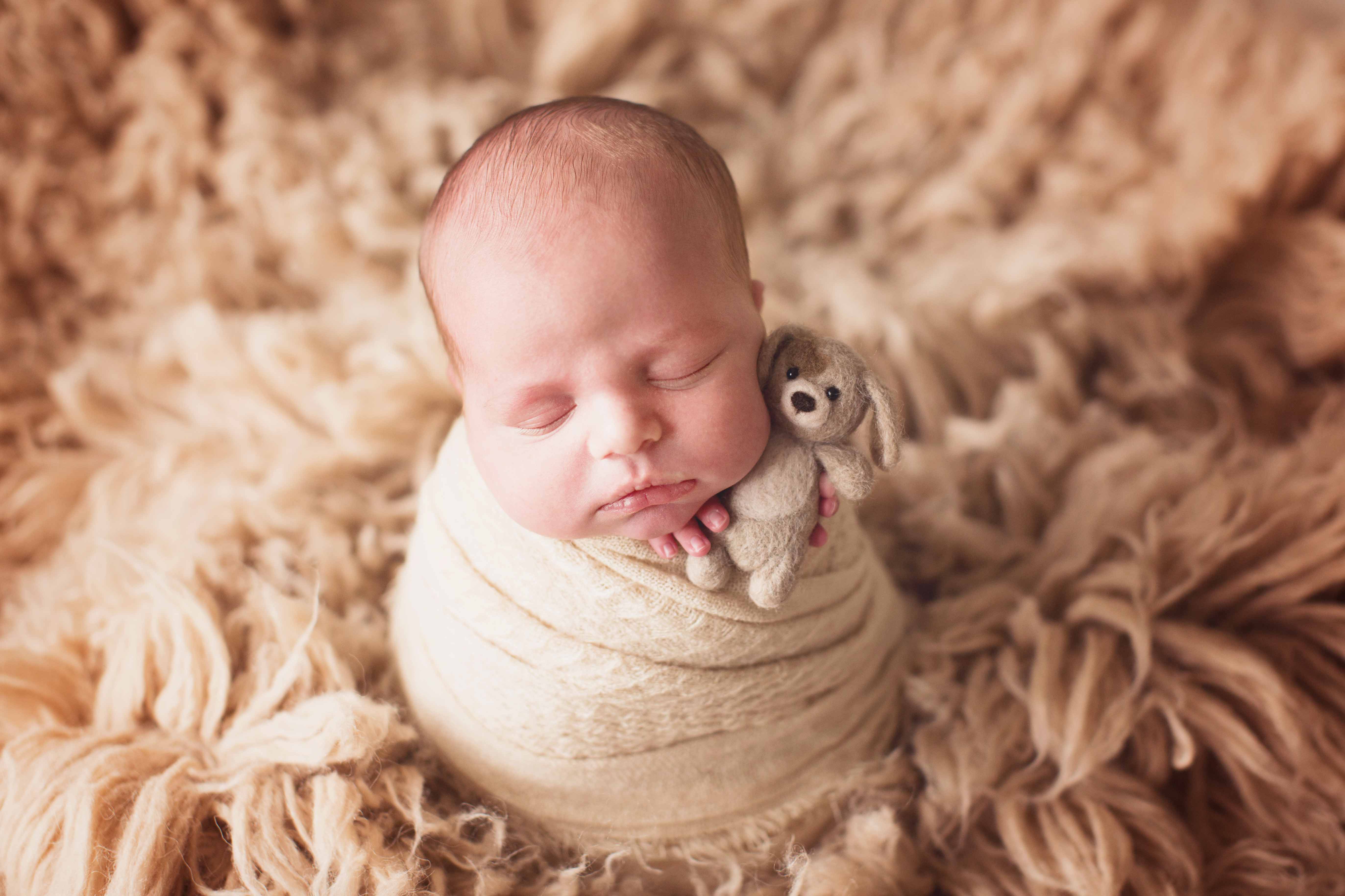 Austin Newborn Photographer