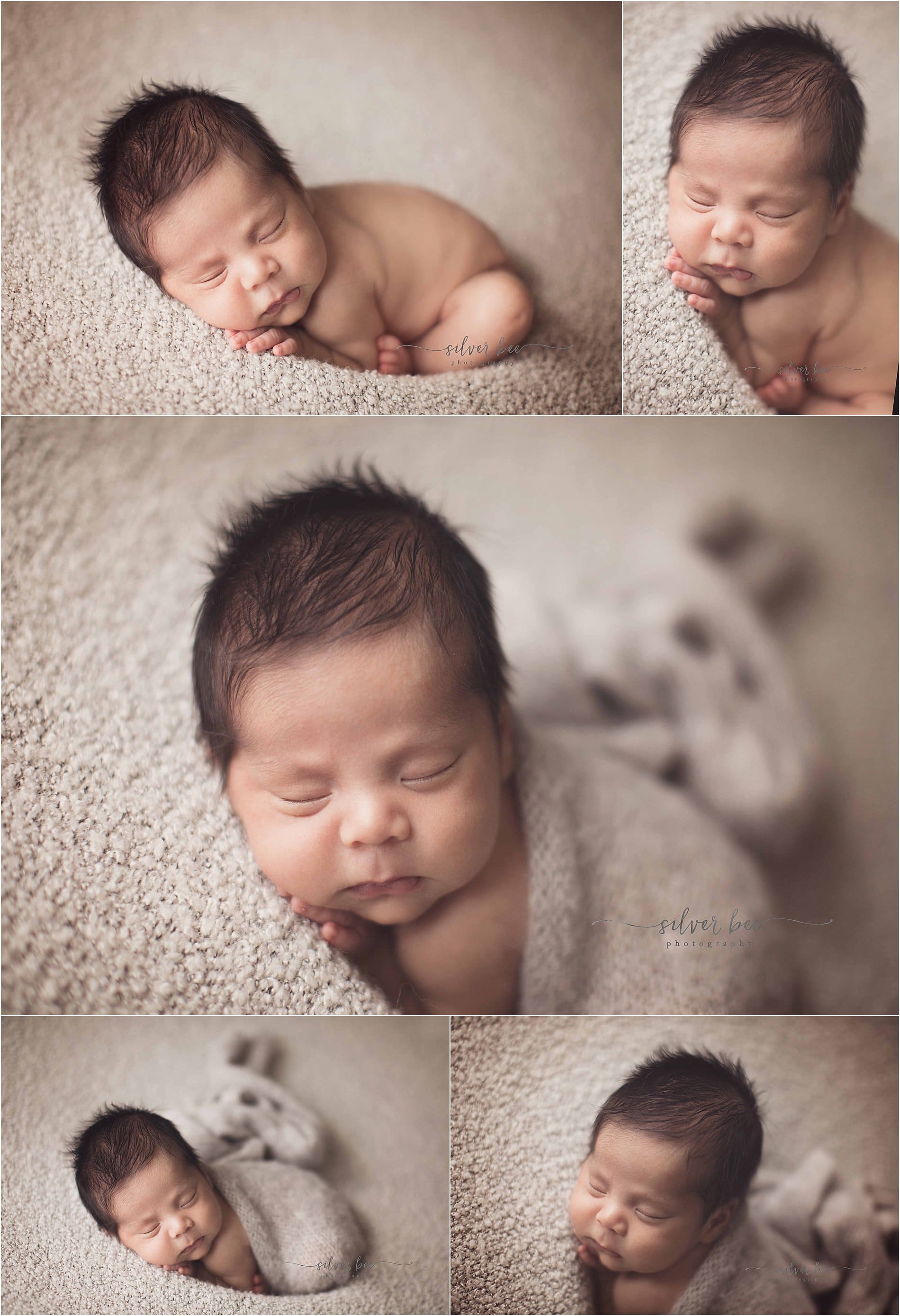 Silver Bee Photography - Austin Newborn Session_0033.jpg