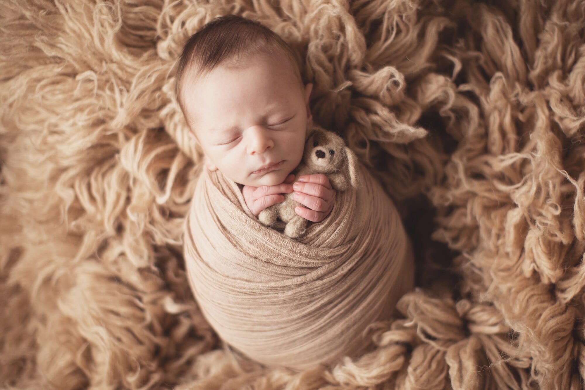 Newborn Baby Boy Photoshoot