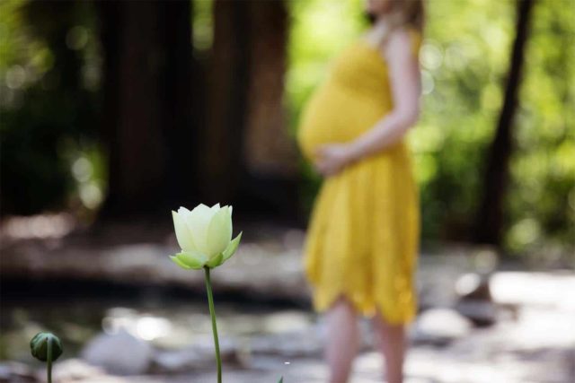 maternity photographer austin tx